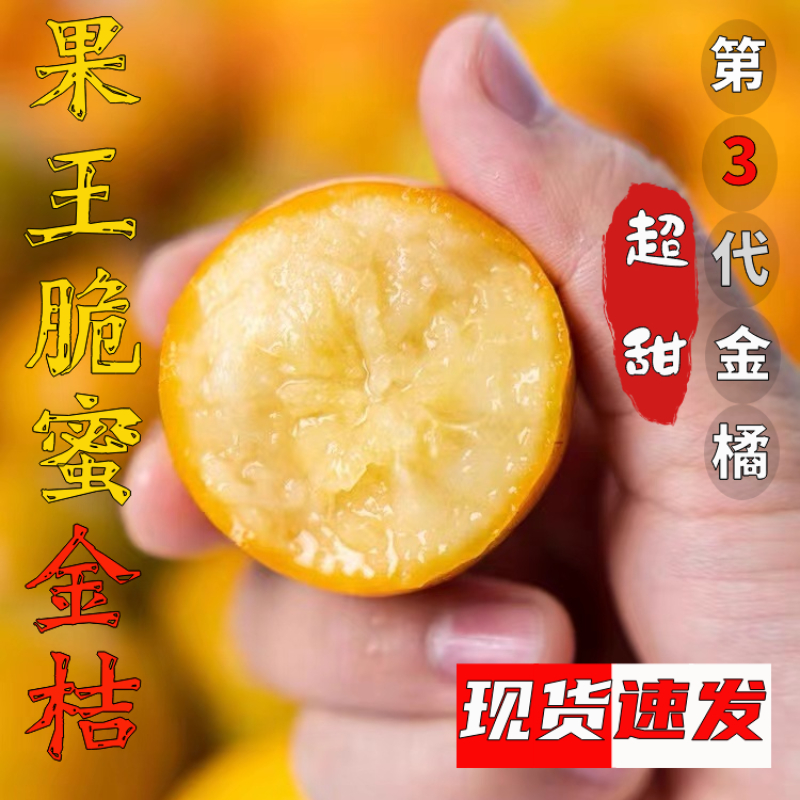 广西脆蜜金柑第三代金桔独立包装