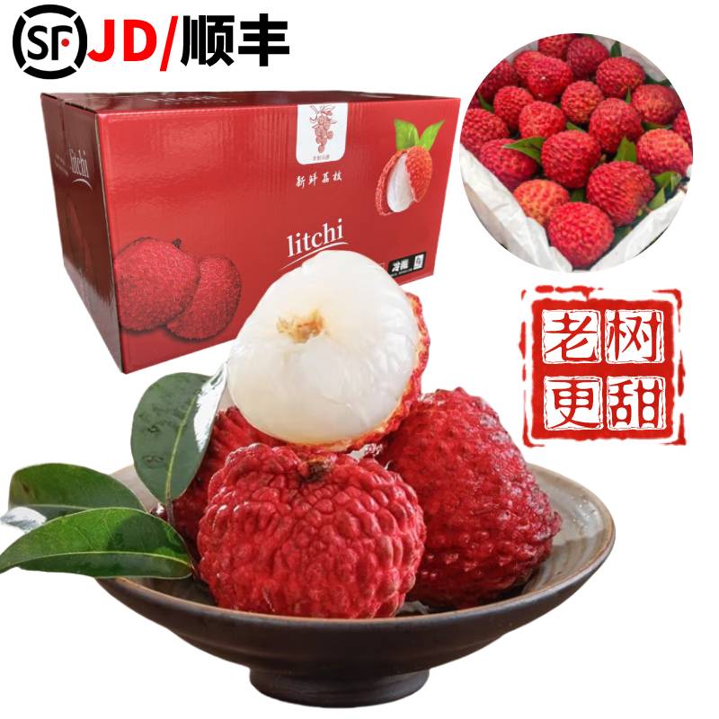 海南特产火山荔枝王超大荔枝