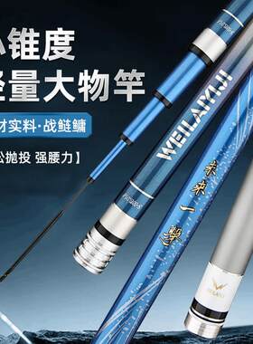 未来一击轻量大物竿碳素台钓竿轻量强腰力战鲢鳙轻松抛投