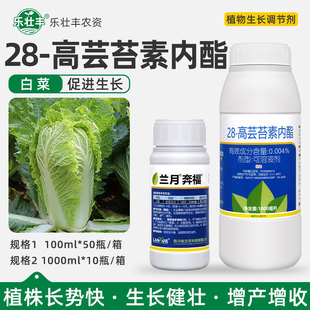 兰月奔福28-高芸苔素内酯蔬菜白菜健壮植株增产收植物生长调节剂