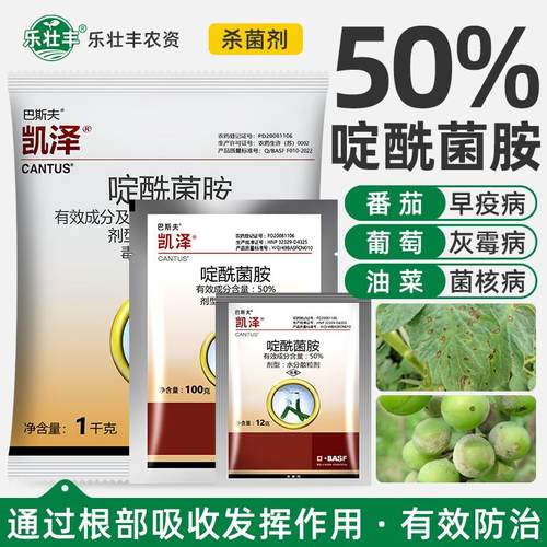 巴斯夫凯泽啶酰菌胺早疫病杀菌剂