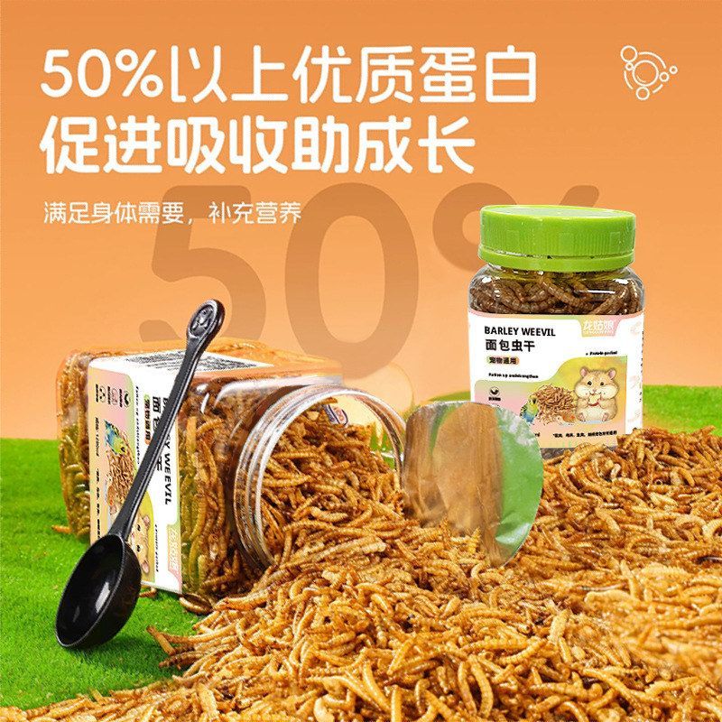 主粮用粮食虫高蛋白面包龙猫营养