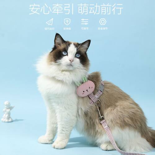 小蜜蜂高颜值牵引绳狗遛猫牵引绳