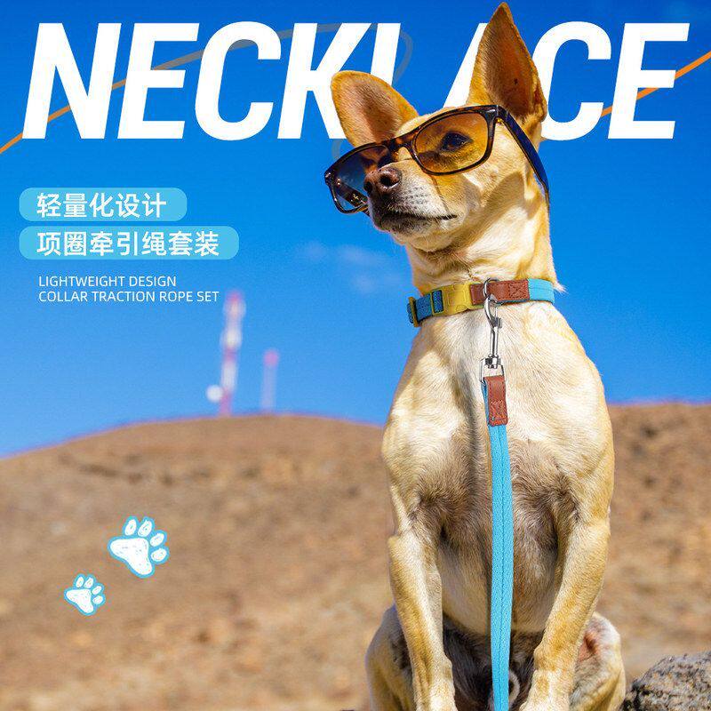 狗项圈防挣脱牵引绳中小型项圈