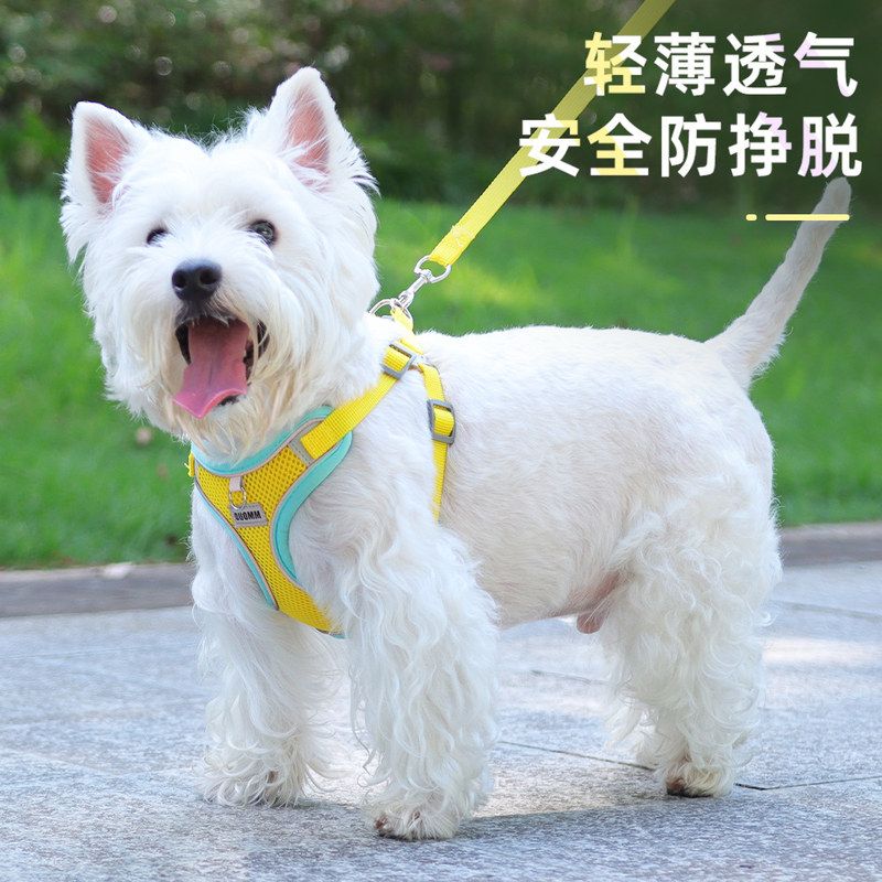 宠物透气式跨境犬牵引绳狗狗背心