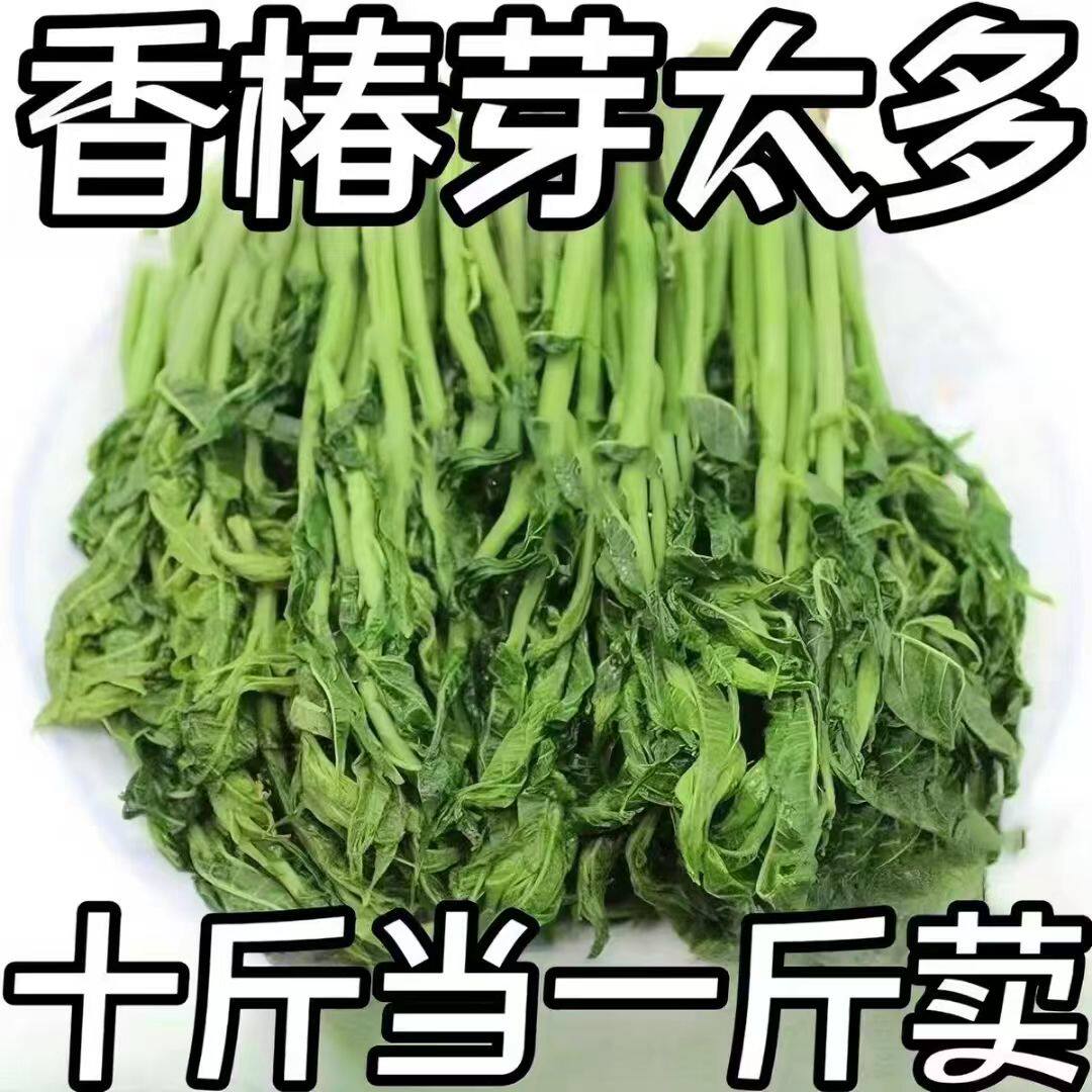 【低价抢】头茬嫩香椿芽26年新鲜盐渍椿芽山东香椿芽嫩芽速食菜