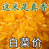 正宗东北黄金米新米正宗黄金大米伴侣五谷杂粮特产黄色 大米批发