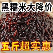 黑血糯米黑糯米粘糯粽子专用糯米煮粥紫糯米东北酿酒血糯米商用