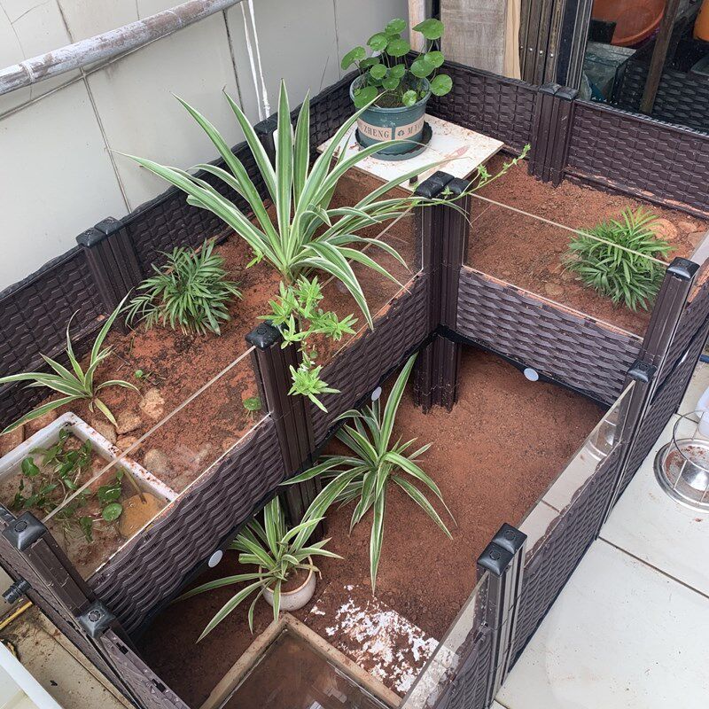 极速黄缘龟专用缸养殖箱r养宠物陆龟乌龟黄缘幼龟饲养缸透明玻璃,宠物/宠物食品及用品,底柜/落地缸,淘宝优惠券,粉丝福利购,淘宝优惠卷