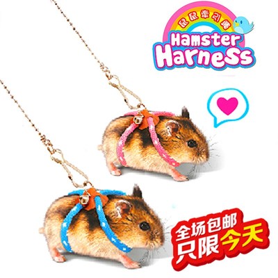 极速Pet Adjustable Soft Harwness Leash Bird Parrot Mouse Ham