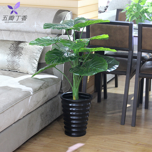 假绿植仿真植物装饰室内塑料假花小盆栽客厅假树芭蕉树落地摆设