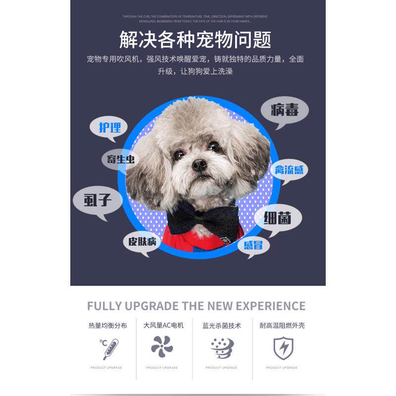 宠物电吹风机大小功率猫咪泰迪金毛狗狗大小型犬专用宠物店吹水机