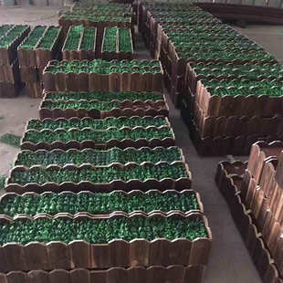 仿真竹子底座防腐木质专用栅栏植物碳化花槽假绿植底坐花盆栽低座