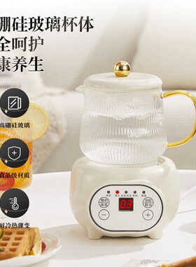 迷你养生壶小型办公室养生杯烧水壶mini小型一人电炖杯单人煮茶壶