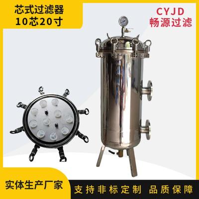 不锈钢过滤器灌装前保安精密过滤器过滤絮状物颗粒物液体设备