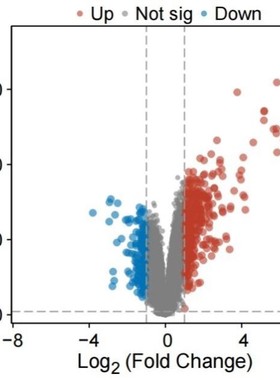 GEO数据库挖掘差异表达基因分析火山图热图网路药理学