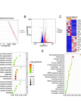 GEOTCGA数据库挖掘生信差异化基因分析火山图热图网路药理学