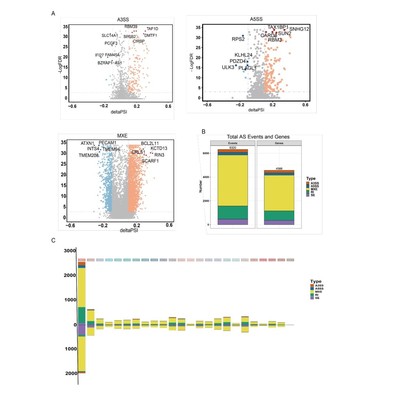 R语言代码Rstudio绘图SCI科研生信医学桑基热图数据分析作图教程
