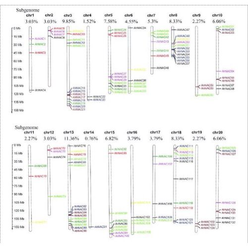 基因家族全套系统进化树绘制Circos设计图绘图生物信息数据分析