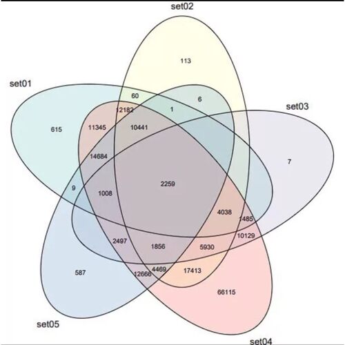 量子化学代算gaussian orca dft计算激发态反应机理过渡态搜索