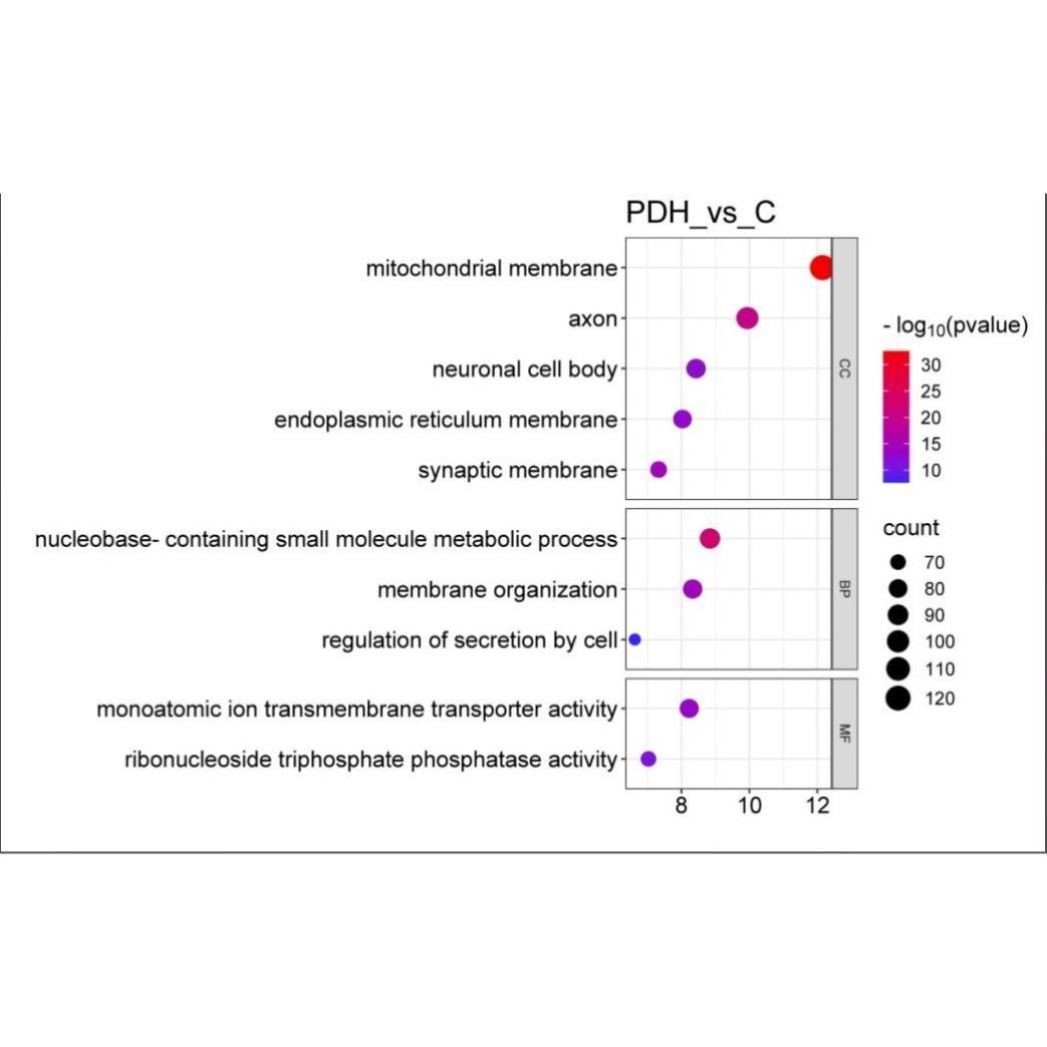肿瘤异质性分析 单细胞分辨率 克隆进化 高级生物信息学