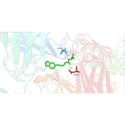 分子对接 分子动力学模拟 Autodock分子对接 PyMOL可视化