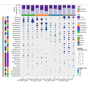 16s/18s/ITS扩增子/宏基因组测序数据分析制图 R代做辅导定制分析