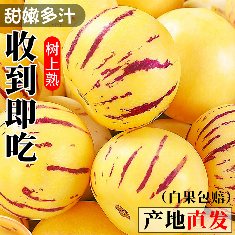 【官方推荐】云南石林特大人参果