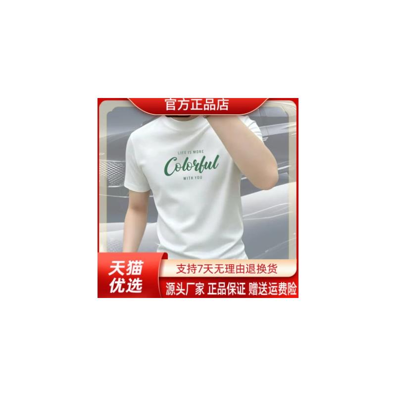 师凯服饰Amphelisia新款重磅短袖T恤男士半袖圆领大码潮流印花
