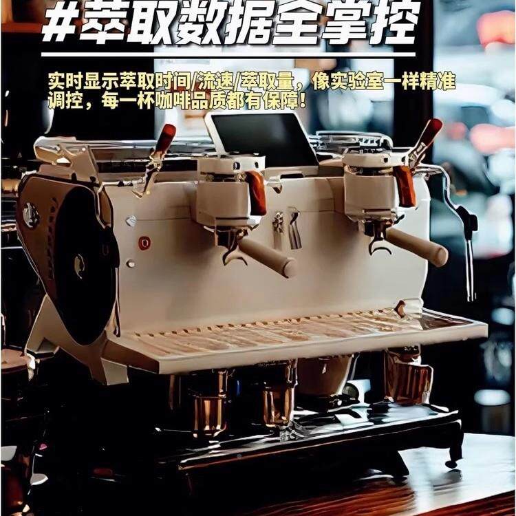 大正迪纳多传说咖啡机锅炉商用意式MAGA-102镂空半自动双头拉萃取