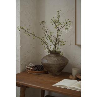 新鲜棠梨果海棠果鲜花【真花】【真果实】玄关禅意中式花瓶插花材