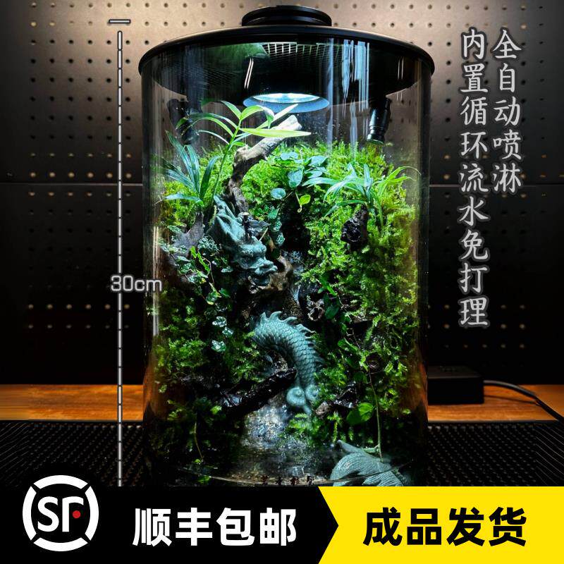 Bioloark成品雨林缸全自动定时喷淋内循环流水苔藓微景观顺丰包邮