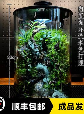 Bioloark成品雨林缸全自动定时喷淋内循环流水苔藓微景观顺丰包邮