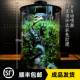 Bioloark成品雨林缸全自动定时喷淋内循环流水苔藓微景观顺丰 包邮