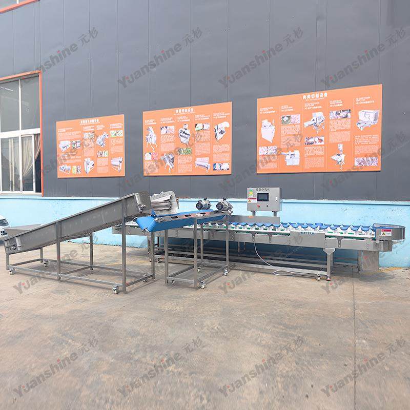 大秋月梨分大小重量选机 连续式果水重量分选机 人EQK参果小分选,五金/工具,其他包装设备,淘宝优惠券,粉丝福利购,淘宝优惠卷