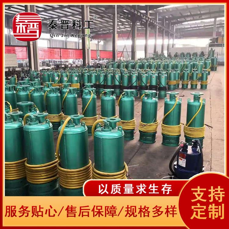 厂家直排供水泵 服务贴 心质量保携障1-3853 不锈钢排涝泵便式