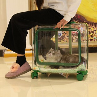 宠物拉杆箱外出便捷透明猫包狗狗手推车太空舱背R包超大号旅行李