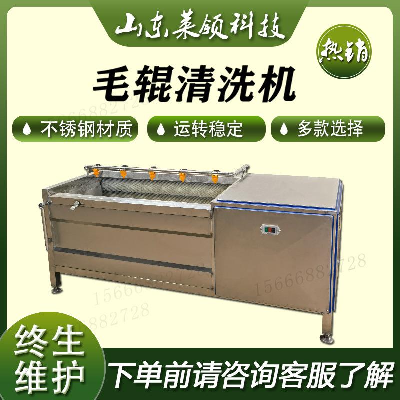 木薯清洗去皮机马铃薯清洗机红枣毛辊摩擦清洗设备