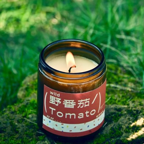 植物学家同款野番茄香薰蜡烛高级