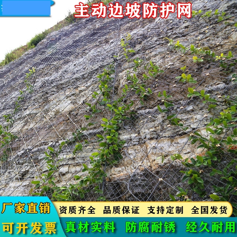 主动边坡防护网柔性山体护坡网