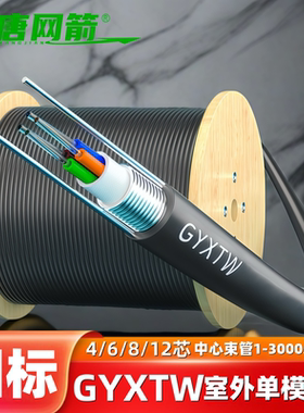 室外国标光缆12芯光纤线6芯8芯4芯24芯中心束管铠装光缆GYXTW加铠光缆电信级单模户外