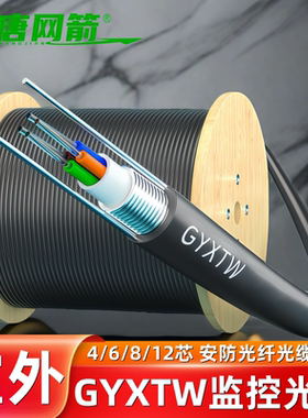 大唐网箭 室外光缆12芯光纤线6芯8芯4芯24芯铠装光缆GYXTW加铠光缆电信级单模户外光缆四芯光纤线