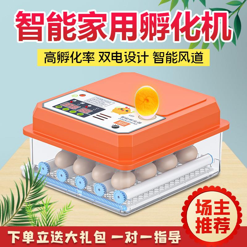 小鸭鹅鸽鹦鹉孵化箱 小型家用型全自动智能孵蛋器孵化机 孵化器