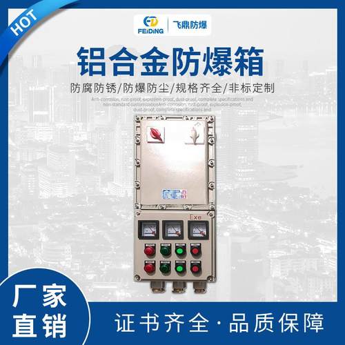 非标防爆照明仪表箱 防爆配电箱 铝合金防爆箱 照明动力箱