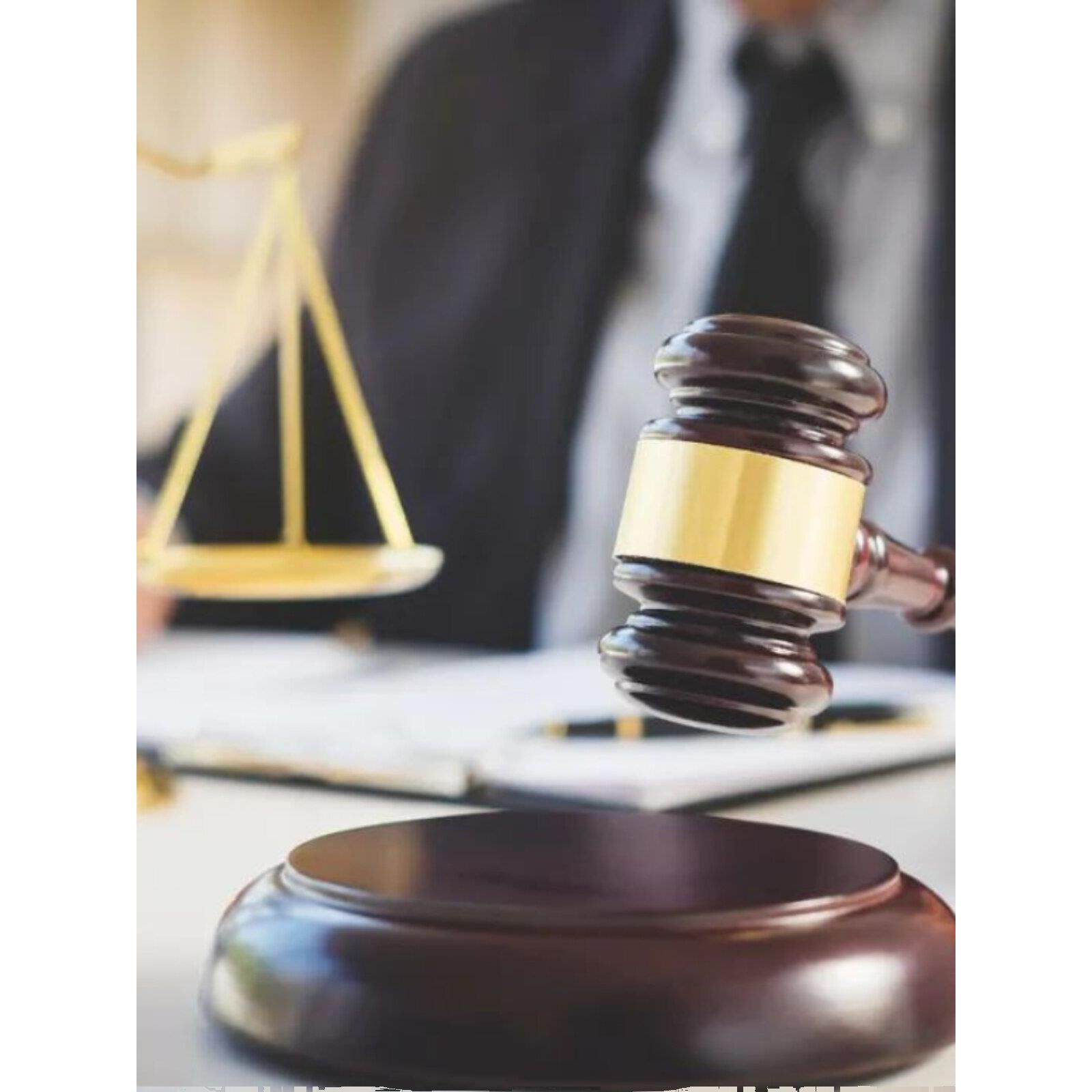 拍卖锤 法槌 法锤 法官锤 拍卖会锤 审判锤 木锤 木槌子定制 包邮