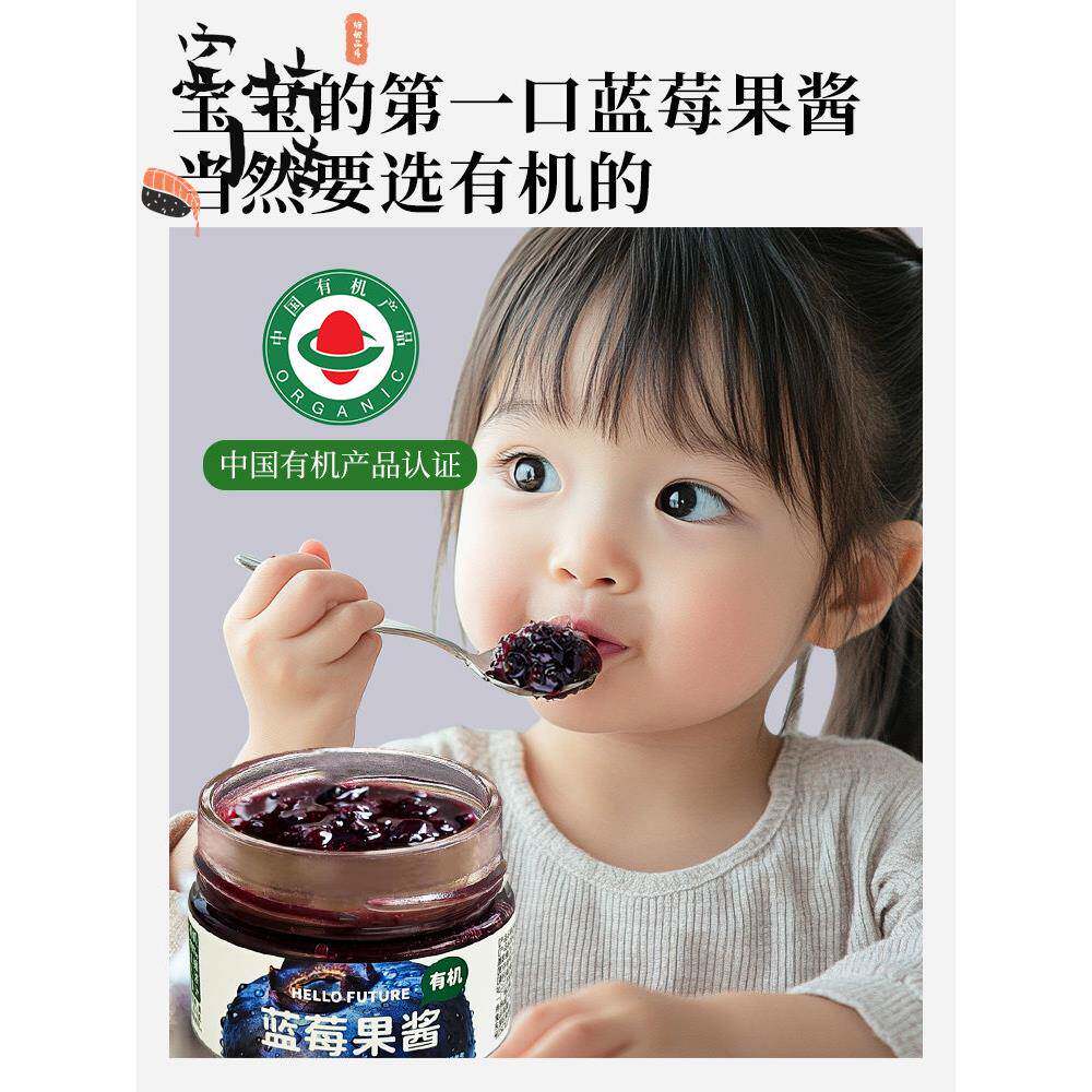 有机蓝莓酱果酱添加婴儿烘焙糖脂馅料山药专用官方旗舰店减0无纯