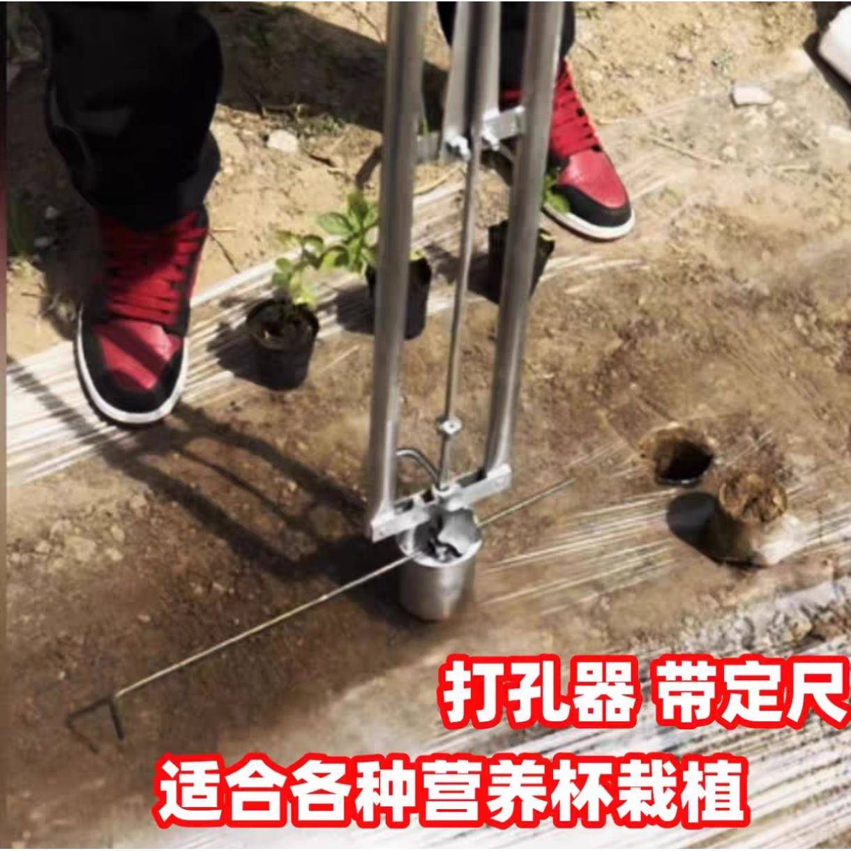 种瓜打孔器定距尺穴盘育苗杯不锈钢打洞取土破地膜脚蹬双杆破地膜