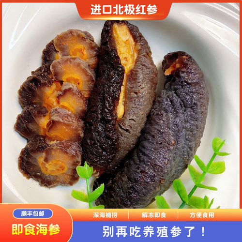 野生冰岛加拿大俄罗斯北极红参即食海参冷冻深海红极参非干刺参