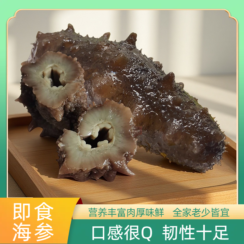 长岛即食海参滋补鲜食冷冻非大连辽参刺参深海底播山东烟台海参