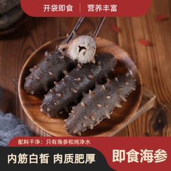 山东烟台海参即食海参滋补鲜食冷冻非淡干大连辽参刺参深海底播